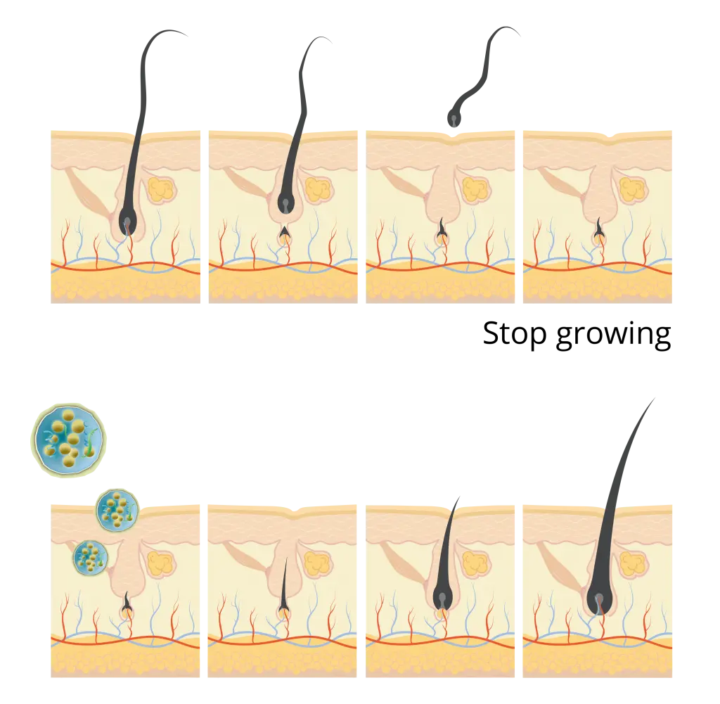 How Nano Vesicles Are Activated